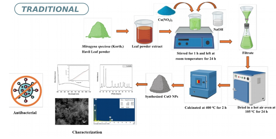 Green synthesis, characterization, and antibacterial efficiency of copper oxide nanoparticles using Mitragyna speciosa (Korth.) Havil leaf extract